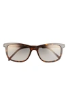 Prada Pillow 54mm Polarized Square Sunglasses In Havana