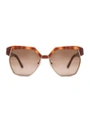 CHLOÉ CHLOE DAFNE SUNGLASSES IN LIGHT HAVANA,CLOE-WG5