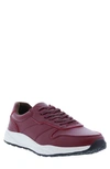 ENGLISH LAUNDRY ENGLISH LAUNDRY ASHER LEATHER LOW TOP SNEAKER