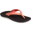 OLUKAI 'KULAPA KAI' THONG SANDAL,20198