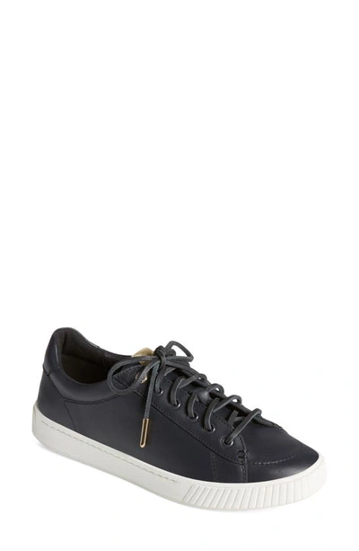 Sperry Anchor Plushwave Leather Shoe In Nocolor