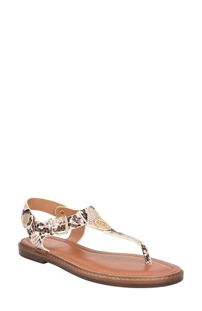 Tommy Hilfiger Women's Bennia Thong Sandals Women's Shoes In Snake