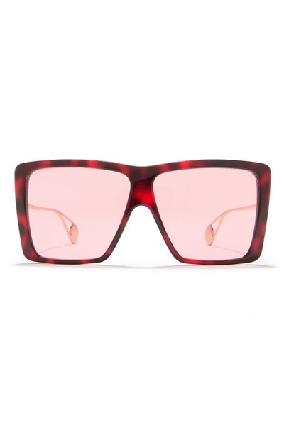 Gucci 61mm Square Sunglasses In Havana Gold Pink Modesens