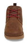 Ugg Neumel Waterproof Chukka Boot In Grizzly