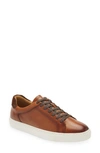 Nordstrom Jace Sneaker In Brown Saddle