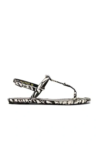 Saint Laurent Cassandra Cowhide Sandals In White