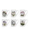 Portmeirion Botanic Garden Assorted Motifs Tankard-coffee Mugs, Set Of 6 In White