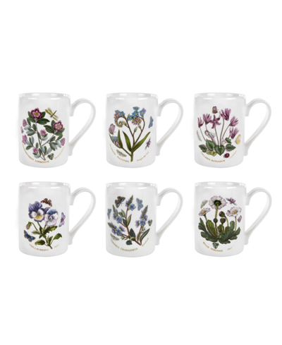 PORTMEIRION BOTANIC GARDEN ASSORTED MUGS, SET OF 6