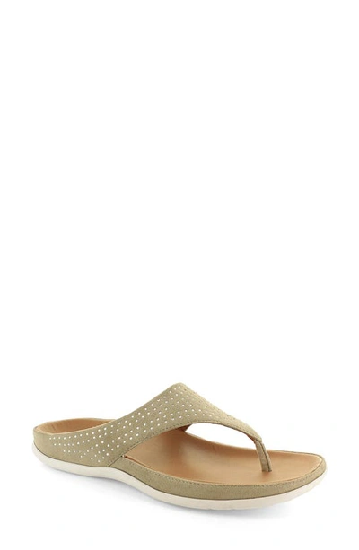 Strive Ibiza Thong Sandal In Stone