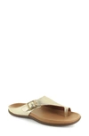 Strive Java Slide Sandal In Light Gold
