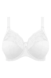 Elomi Morgan Full Figure Underwire Bra In White