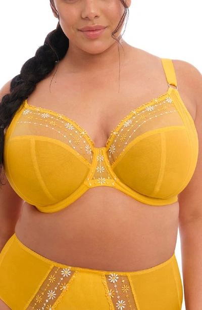 Elomi Matilda Full Figure Underwire Plunge Bra In Daisy