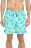 Tom & Teddy Pineapple Print Swim Trunks In Green