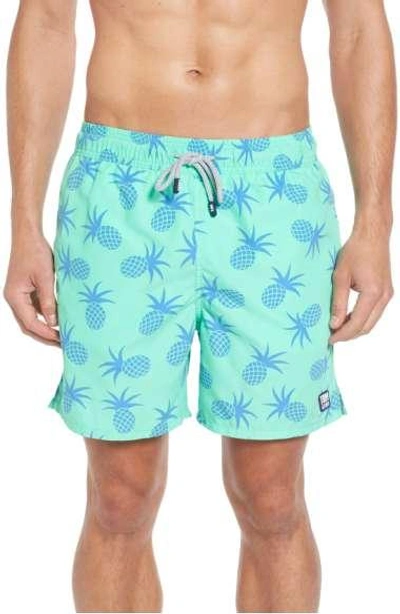 Tom & Teddy Pineapple Print Swim Trunks In Green