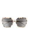 Celine 58mm Butterfly Sunglasses In White Black