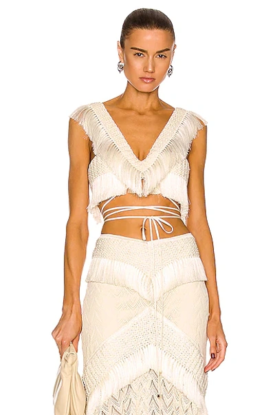 PATBO FRINGE TRIM CROPPED TOP