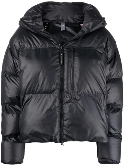 Adidas By Stella Mccartney Hooded Puffer Jacket In Black