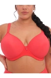 Elomi Full Figure Bijou Underwire Banded Molded Cup Bra El8722, Online Only In Cayenne