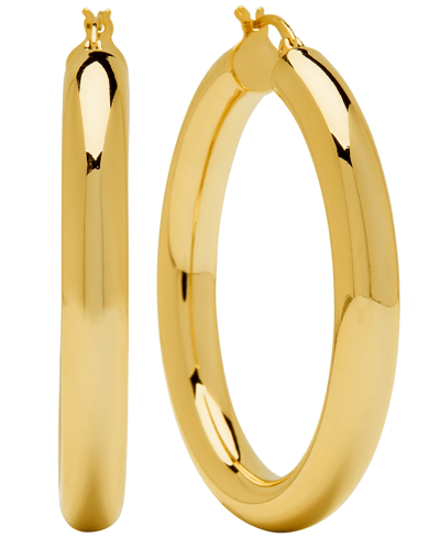 And Now This Women's Tube Hoop Earring In Gold Plated