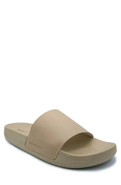 brandblack kashiba slides