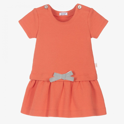 Absorba Babies' Girls Orange Cotton Dress