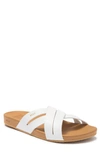 REEF CUSHION SPRING SANDAL