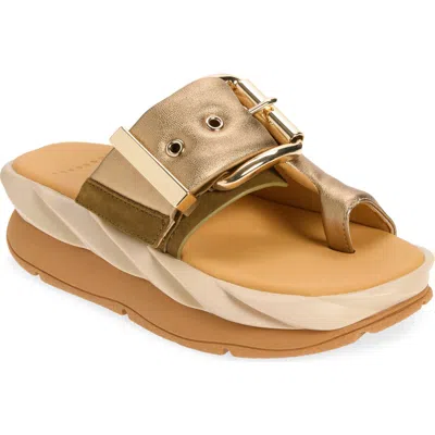 4ccccees Mellow Glow Platform Sandal In Multi