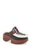 4ccccees Plia Amber Genuine Shearling Platform Clog In Black