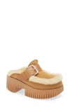 4ccccees Plia Amber Genuine Shearling Platform Clog In Brown