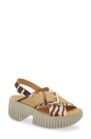 4ccccees Plia Juno Zebra-print Buckled Sandals In Multi