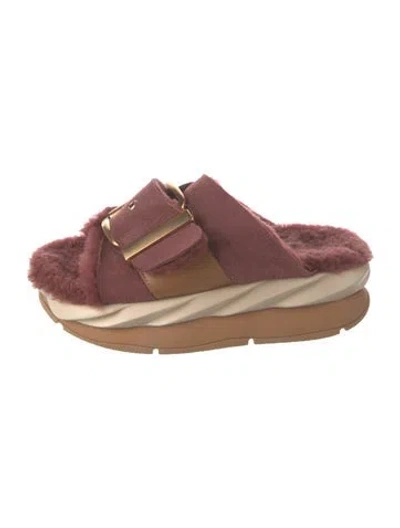 Pre-owned 4ccccees Slides In Burgundy