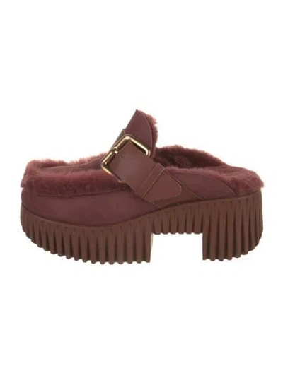 Pre-owned 4ccccees Suede Mules In Brown/burgundy