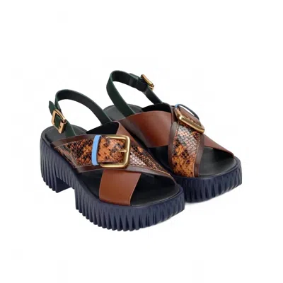 4ccccees Women's Plia Juno Coffee Sandals In Brown