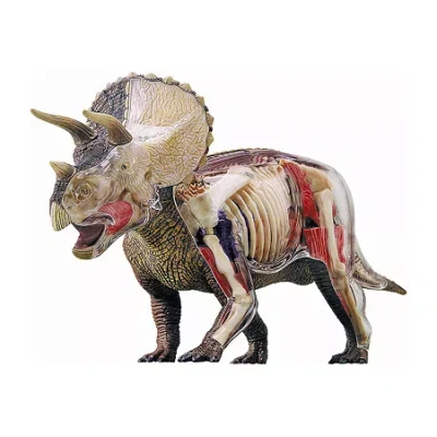 4d Master 4d Vision Triceratops Anatomy Model Puzzle In Multi