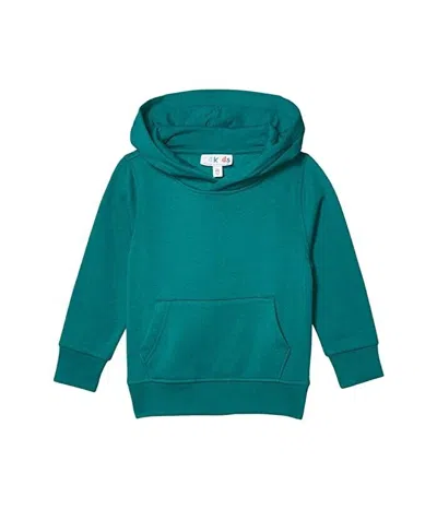 4kids Kids # Essential Hoodie Little Tidepool Long Sleeve Pullover Jdm1010 In Green