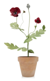 ERBAVOGLIO MILANO HANDCRAFTED POPPY POT METAL SCULPTURE