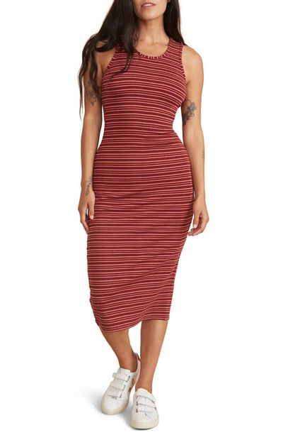 lexi rib daytime midi dress Marine Layer Lexi Rib Daytime Midi Dress In Ruby Wine Multi Stripe
