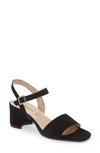 Cordani Irisse Block Heel Sandal In Black Suede