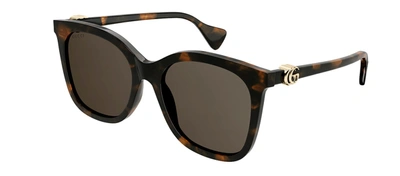Gucci Gg1071s 002 Cat Eye Sunglasses With Mini Running In Brown