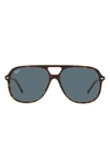 Ray Ban 60mm Square Sunglasses In Havane_bleu_classique