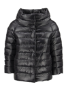 Herno Cropped Sleeve Padded Jacket In Black