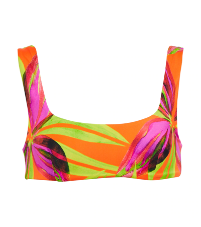 Louisa Ballou Scoop Printed Bikini Top In Print 1