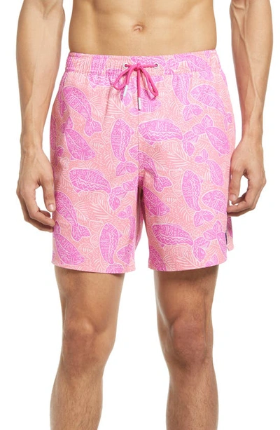 Vineyard Vines Chappy Stripe Swim Trunks In Papaya Passion Fish Lines
