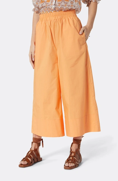 Joie Hollis Cropped Cotton Pants In Yellow