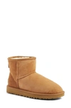 Ugg Classic Mini Ii Genuine Shearling Lined Boot In Chestnut Suede