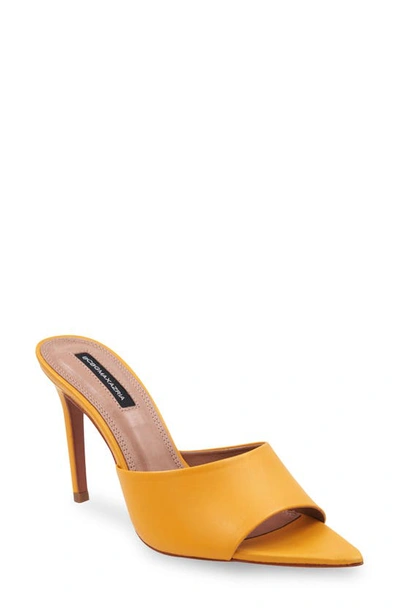 Bcbgmaxazria Dana Leather Slide Sandal In Tuscany Yellow