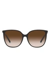 Tiffany & Co 57mm Gradient Square Sunglasses In Black/brown Gradient