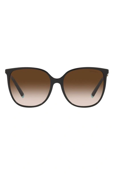 Tiffany & Co 57mm Gradient Square Sunglasses In Black/brown Gradient