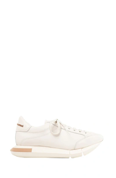 Paloma Barceló Lisieux Sneaker In Gesso/ Caramel