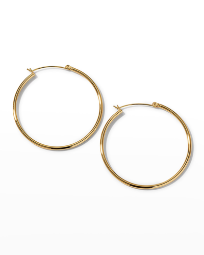 Devon Leigh Gold-plate Hinge Back Hoop Earrings